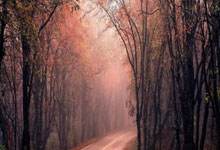 开云APP-包含德国碾压西班牙，梅西关键制胜的词条